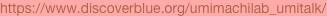 shapeimage_18_link_1